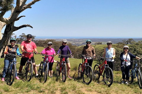 McLaren Vale Wine Tour By Bike - Accommodation Search 2