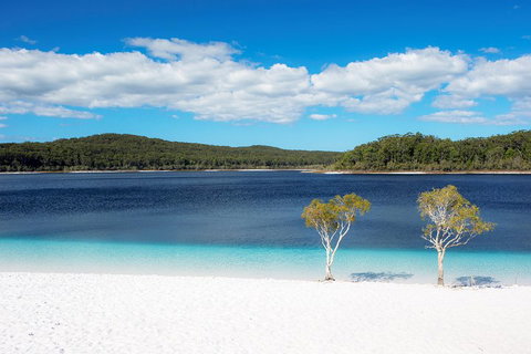 All-Inclusive Fraser Island Day Tour - Accommodation Search 3