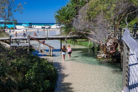 All-Inclusive Fraser Island Day Tour - Accommodation Search 4
