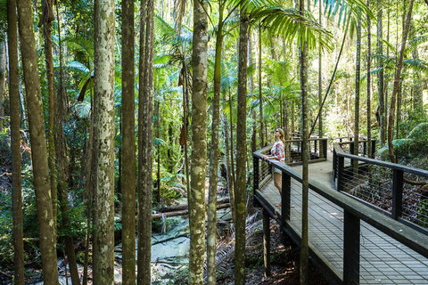 All-Inclusive Fraser Island Day Tour - Accommodation Search 5