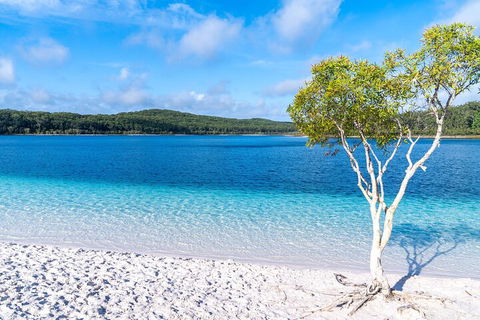 Lake McKenzie Full-Day Tour With Lunch From Hervey Bay - Accommodation Search 1