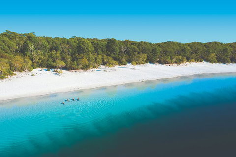 Lake McKenzie Full-Day Tour With Lunch From Hervey Bay - Accommodation Search 4