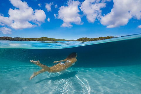 Lake McKenzie Full-Day Tour With Lunch From Hervey Bay - Accommodation Search 5