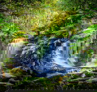 Day Tour in Mt. Field Mt. Wellington Bonorong Wildlife Sanctuary and Richmond - Accommodation Search