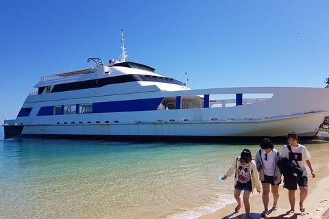 Moreton Island Day Trip (Kayak, Snorkel & Sandboard) Frm Brisbane Or Gold Coast - Accommodation Search 0