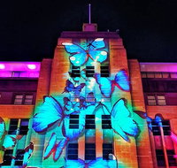 Vivid 90-Minute Sydney Harbour Small Group Catamaran Cruise - Accommodation Search