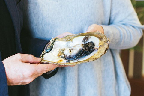 Half-Day Willie Creek Pearl Farm Tour With Helicopter Flight - Accommodation Search 3