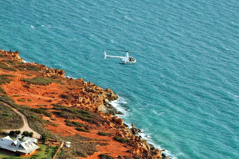 Half-Day Willie Creek Pearl Farm Tour With Helicopter Flight - Accommodation Search 4