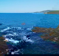 Julian Rocks Byron Bay Cruise - Accommodation Search