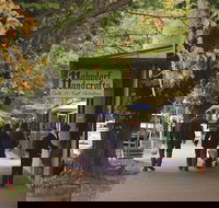 Adelaide Highlights Hahndorf  McLaren Vale Wine Tasting and Sightseeing Tour - Accommodation Search