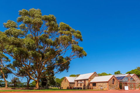 McLaren Vale And Glenelg Wine Tasting And Sightseeing (Half-day Afternoon) - Accommodation Search 5
