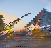 Kangaroo Island Self-Guided Kayaking on the Harriet River - Accommodation Search