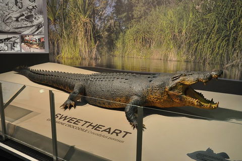 Explore Darwin City Sights Including Key Attractions - Accommodation Search 2