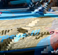 Torrens River Cruise in Adelaide - Accommodation Search