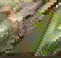 Blue Mountains Private Full-Day Tour from Sydney with Cruise - Accommodation Search