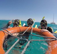 Full-Day Great Barrier Reef Sailing Trip - Accommodation Search