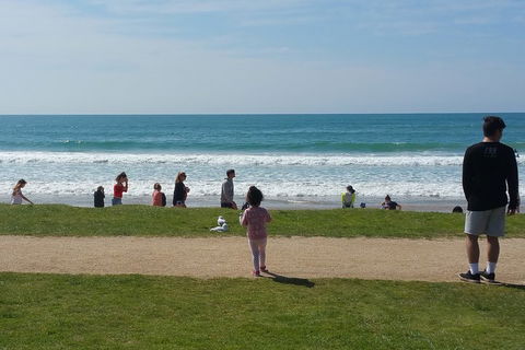 Surf Tour And Lesson - Accommodation Search 0