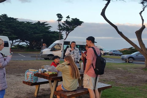 Surf Tour And Lesson - Accommodation Search 2