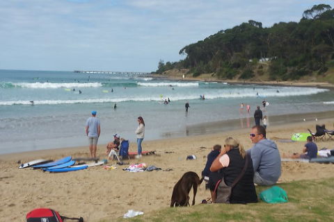 Surf Tour And Lesson - Accommodation Search 5