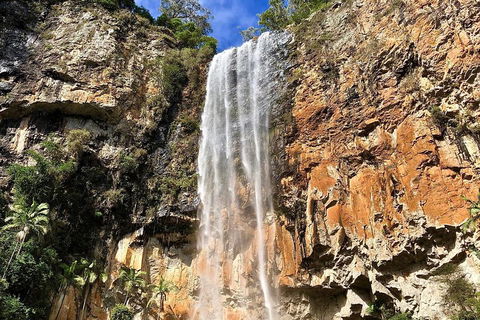 Springbrook Full Day Tour - Accommodation Search 2
