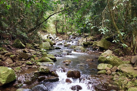 Exclusive Private Tour - Design Your Own - Accommodation Search 1