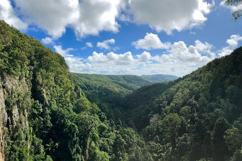 Exclusive Private Tour - Design Your Own - Accommodation Search 3