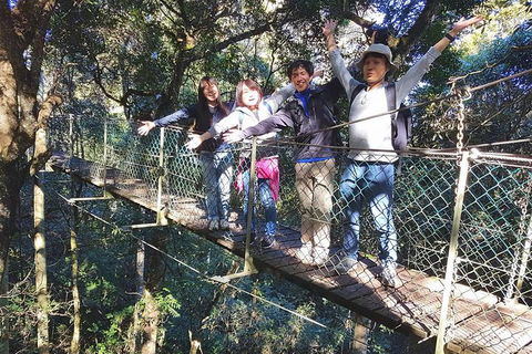 Exclusive Private Tour - Design Your Own - Accommodation Search 5