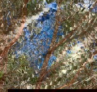 Kangaroo Island 4WD Tour - Best of KI in 2 Days - Accommodation Search