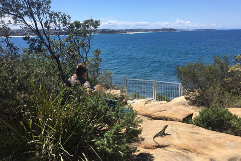 Manly Snorkel Trip And Nature Walk With Local Guide - Accommodation Search 4
