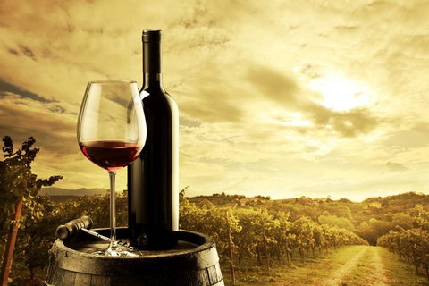 Barossa Valley Cellar Doors Luxury Wine Tour - Accommodation Search 0