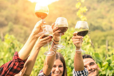 Barossa Valley Cellar Doors Luxury Wine Tour - Accommodation Search 1