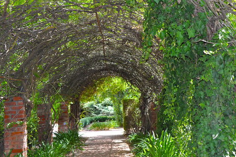 Barossa Valley Cellar Doors Luxury Wine Tour - Accommodation Search 3