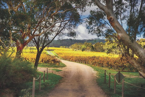 McLaren Vale Winery Small Group Tour With Wine Tasting And Lunch - Accommodation Search 1