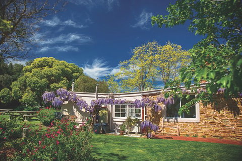 McLaren Vale Winery Small Group Tour With Wine Tasting And Lunch - Accommodation Search 2