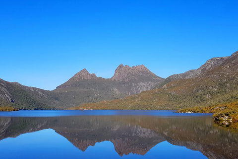 Tasmania 6 Day 'Tour In Circle' - Accommodation Search 3