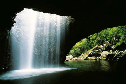 Natural Bridge & Springbrook Waterfalls Tour - Accommodation Search 0