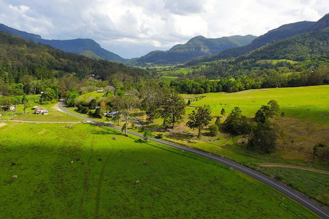 Natural Bridge & Springbrook Waterfalls Tour - Accommodation Search 2