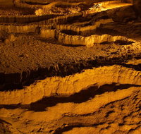 The Explorers' Discovery Tour - Gold Wine  Wildlife - Accommodation Search