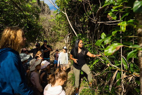 Cape Byron Aboriginal Tour - Accommodation Search 4