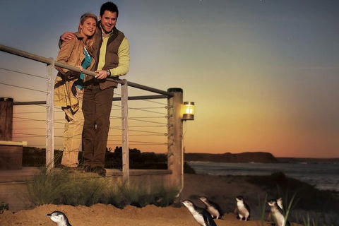 The Ultimate Melbourne Attractions Pass - Accommodation Search 3