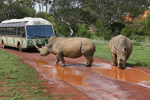 The Ultimate Melbourne Attractions Pass - Accommodation Search 4
