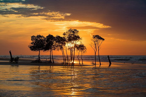Delightful Darwin Self-Guided Audio Tour - Accommodation Search 3