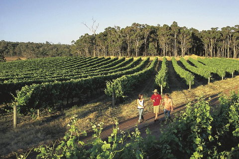 Margaret River, Caves, Wine And Cape Leeuwin Lighthouse Tour From Perth - Accommodation Search 1