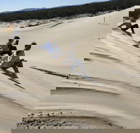 Port Stephens Bush Beach and Sand Dune 4WD Tag-Along Tour - Accommodation Search