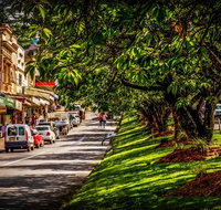 Fully Inclusive Blue Mountains Private Tour inc Scenic World  Featherdale entry - Accommodation Search
