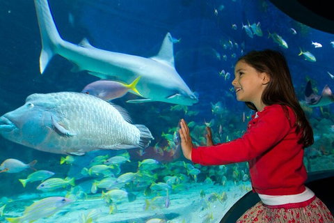 Melbourne BIG Ticket - LEGOLAND Discovery And SEA LIFE Melbourne - Accommodation Search 1