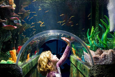 Melbourne BIG Ticket - LEGOLAND Discovery And SEA LIFE Melbourne - Accommodation Search 2