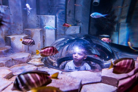 Melbourne BIG Ticket - LEGOLAND Discovery And SEA LIFE Melbourne - Accommodation Search 5