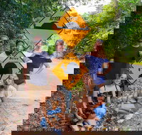 Cape Tribulation Daintree Rainforest and Wildlife Tour - Accommodation Search