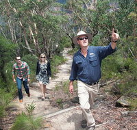 Small-Group Blue Mountains Tour with Bush Walks and Featherdale Wildlife Park - Accommodation Search
